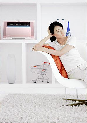 Sony VAIO Type L