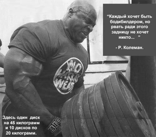 Фото качалка качки бодибилдинг Фото качалка качки бодибилдинг
