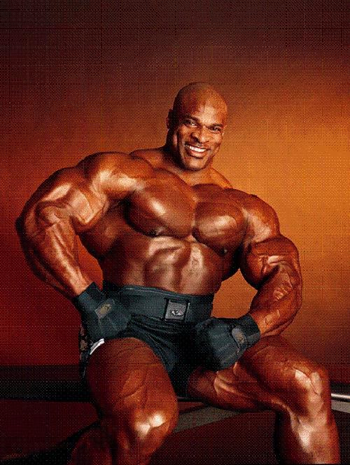 Фото качалка качки бодибилдинг Фото качалка качки бодибилдинг