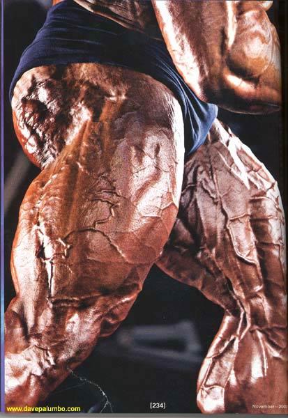 Фото ужасы бодибилдинга перекаченные качки Фото ужасы бодибилдинга перекаченные качки