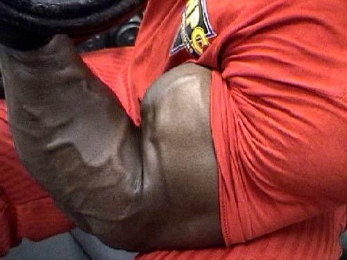 Пока спортивные критики и высокопрофессиональные тренеры шикарных и дорогущих спортцентров разглагольствуют об эстетике и точеных линиях, монстроидам подавай ходячие горы вено-выдавливающего, перекачанного мяса Пока спортивные критики и высокопрофессиональные тренеры шикарных и дорогущих спортцентров разглагольствуют об эстетике и точеных линиях, монстроидам подавай ходячие горы вено-выдавливающего, перекачанного мяса